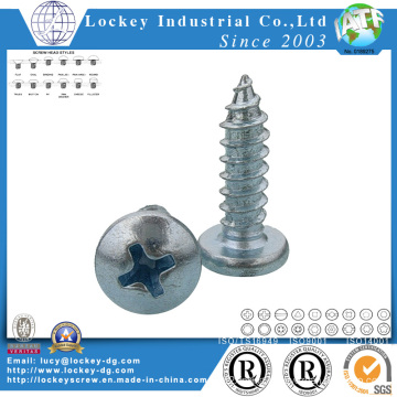 Pan Head Self Tapping Screw